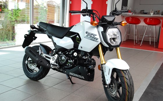Neufahrzeug Honda MSX125 Grom - Bild 7