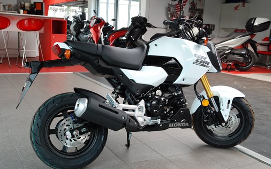Neufahrzeug Honda MSX125 Grom - Bild 5