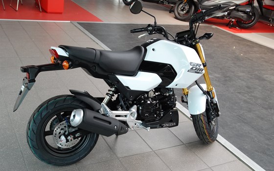 Neufahrzeug Honda MSX125 Grom - Bild 6