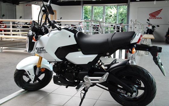Neufahrzeug Honda MSX125 Grom - Bild 12