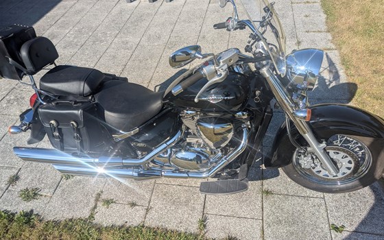 Gebrauchtmotorrad Suzuki Intruder C800 - Bild 3