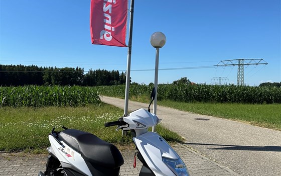 Neufahrzeug Sym Orbit III 50 - Bild 6 Neufahrzeug Sym Orbit III 50 - Bild 6