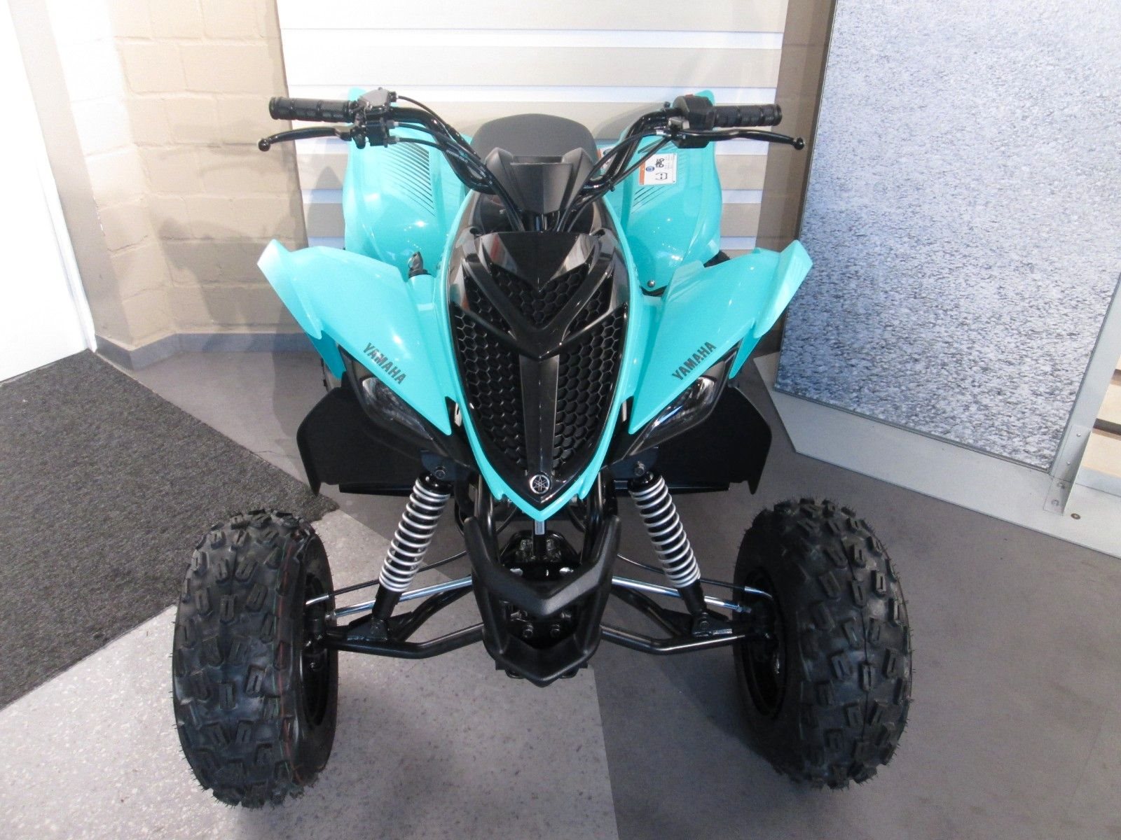 Yamaha YFM110R