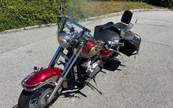 Gebrauchtmotorrad Honda VT 750 Shadow - Bild 9