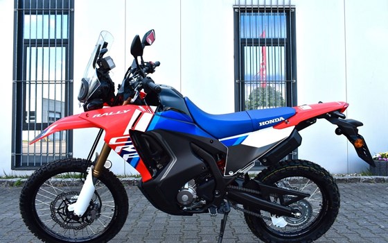 Neufahrzeug Honda CRF300 Rally - Bild 1
