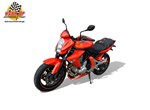 Offer Kawasaki ER-6n
