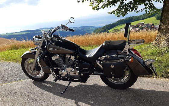 Motorrad Occasion Honda VT 750 - Bild 1