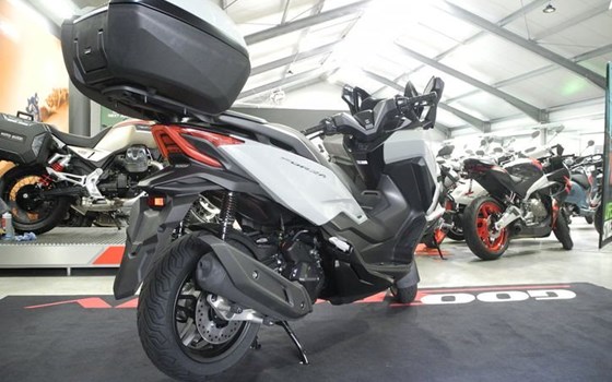 Neufahrzeug Honda Forza 125 - Bild 6