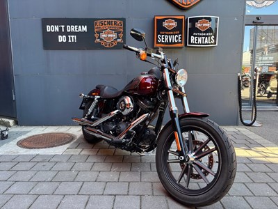 Foto des Bikes