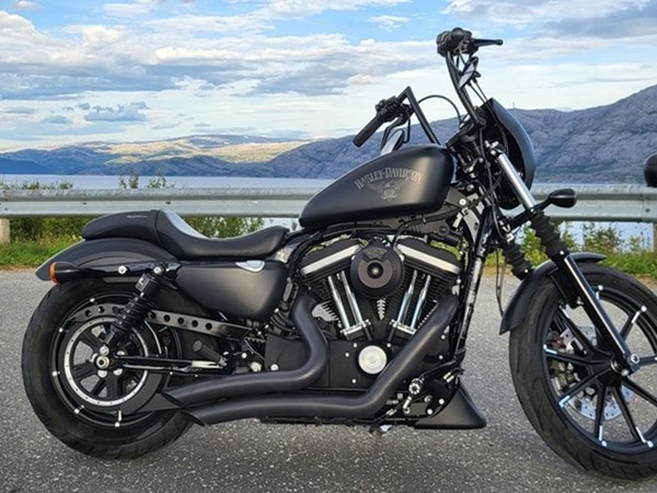 Gebrauchtmotorrad Harley-Davidson Sportster XL 883 Classic