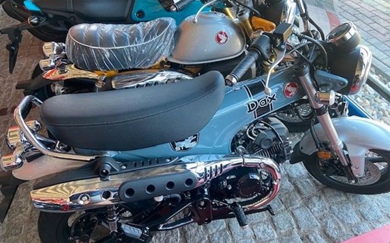 Neufahrzeug Honda Dax 125 - Bild 1