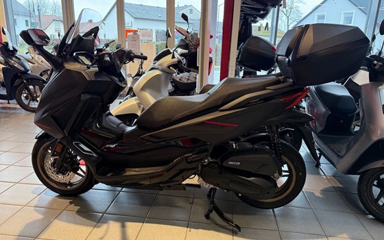 Neufahrzeug Honda Forza 125 - Bild 2
