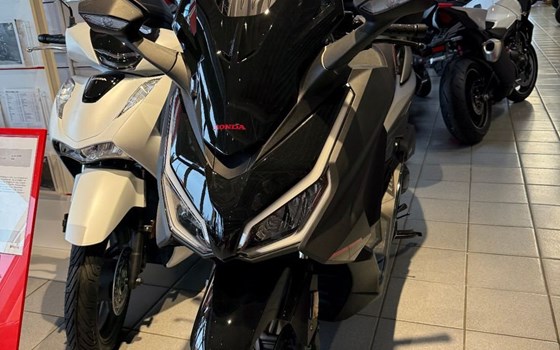 Neufahrzeug Honda Forza 125 - Bild 6