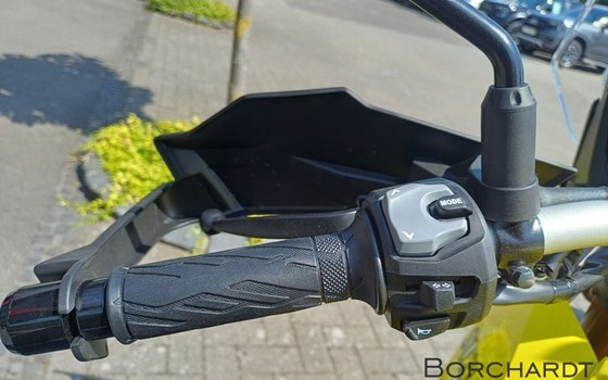 Neufahrzeug Suzuki V-Strom 800DE - Bild 13