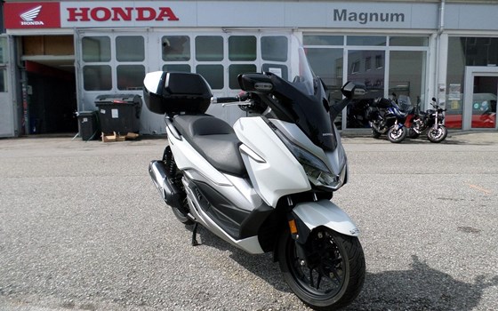 Gebrauchtmotorrad Honda Forza 300 - Bild 1 Gebrauchtmotorrad Honda Forza 300 - Bild 1