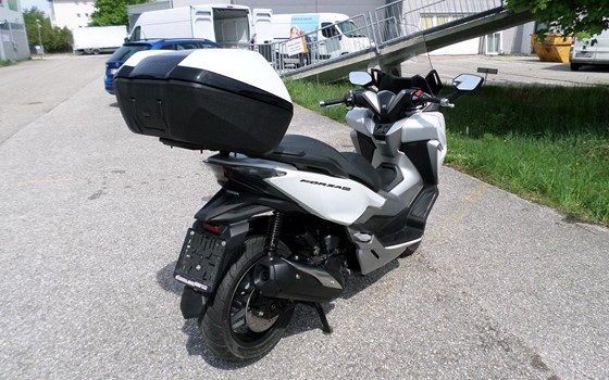 Gebrauchtmotorrad Honda Forza 300 - Bild 3