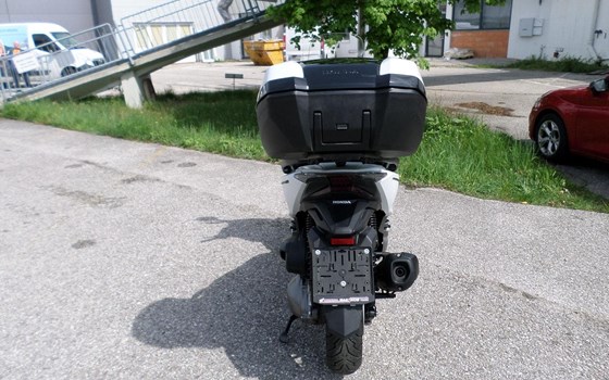 Gebrauchtmotorrad Honda Forza 300 - Bild 4