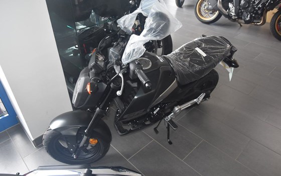 Neufahrzeug Honda MSX 125 - Bild 1