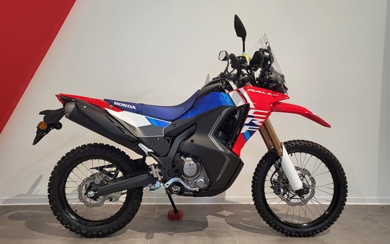 Neufahrzeug Honda CRF300 Rally - Bild 1