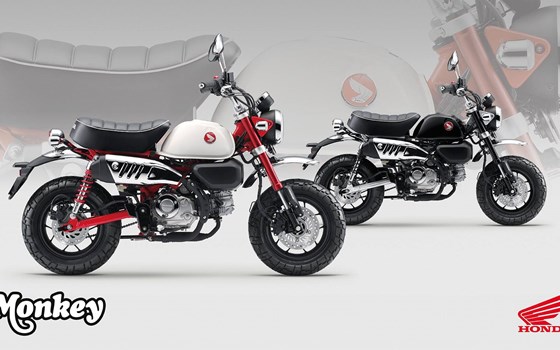 Neufahrzeug Honda Monkey 125 - Bild 2