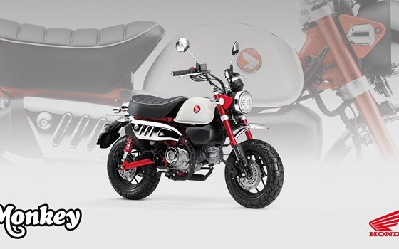 Neufahrzeug Honda Monkey 125 - Bild 3