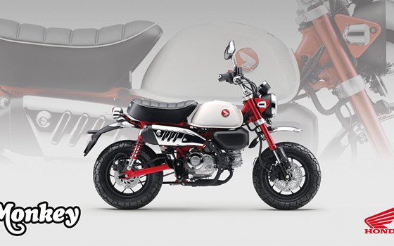 Neufahrzeug Honda Monkey 125 - Bild 5