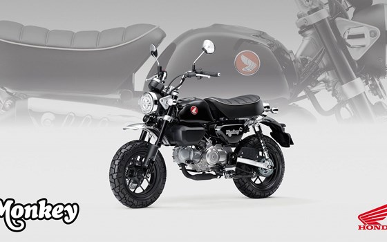 Neufahrzeug Honda Monkey 125 - Bild 6
