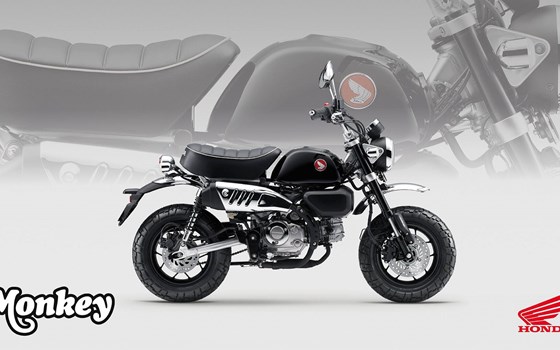 Neufahrzeug Honda Monkey 125 - Bild 4