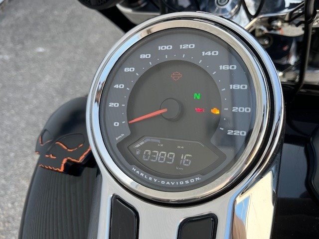 Harley-Davidson Softail Sport Glide FLSB (Custom Sonderlackierung) - Bild 17
