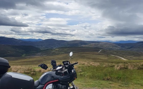 Gebrauchtmotorrad Suzuki Bandit 1200S - Bild 3