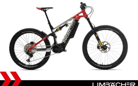 Neufahrzeug Ducati TK-01RR - Bild 1