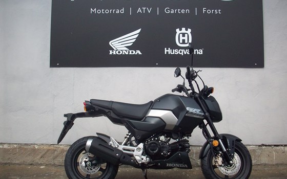 Neufahrzeug Honda MSX125 Grom - Bild 1