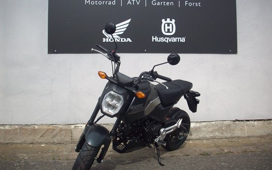 Neufahrzeug Honda MSX125 Grom - Bild 4