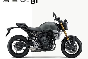 Angebot Suzuki GSX-8T