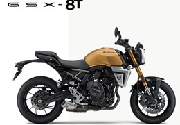 Neumotorrad Suzuki GSX-8T