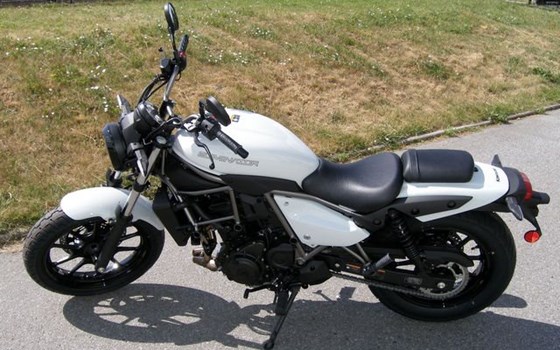 Neufahrzeug Kawasaki Eliminator 500 - Bild 6