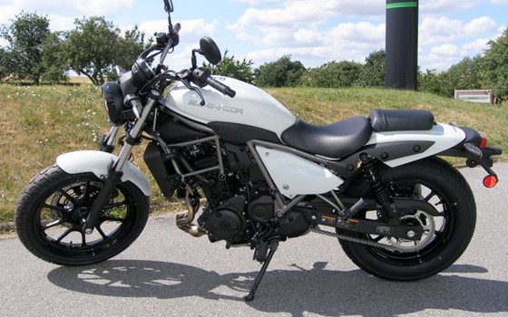 Neufahrzeug Kawasaki Eliminator 500 - Bild 7