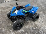 Angebot CFMOTO CForce 110