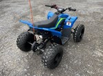 Angebot CFMOTO CForce 110