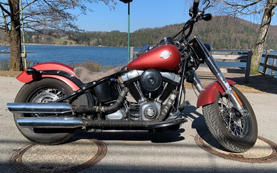 Gebrauchtmotorrad Harley-Davidson Softail Slim FLS - Bild 1 Gebrauchtmotorrad Harley-Davidson Softail Slim FLS - Bild 1