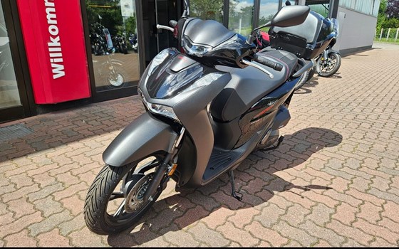 Neufahrzeug Honda SH150i - Bild 2