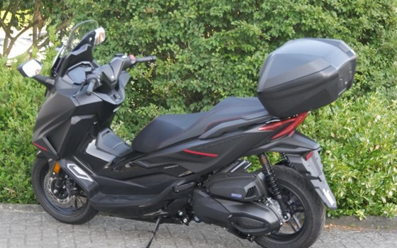 Neufahrzeug Honda Forza 350 - Bild 2