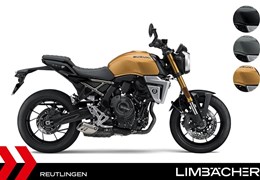 Neumotorrad Suzuki GSX-8T