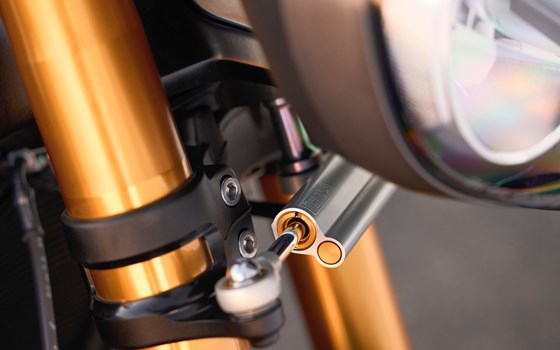 Neufahrzeug Triumph Speed Triple 1200 RX - Bild 8