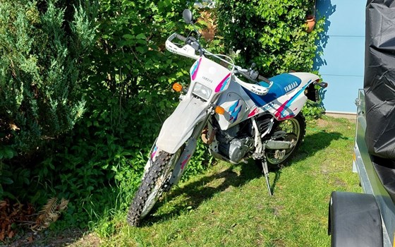 Motorrad Occasion Yamaha TT 600 S - Bild 1