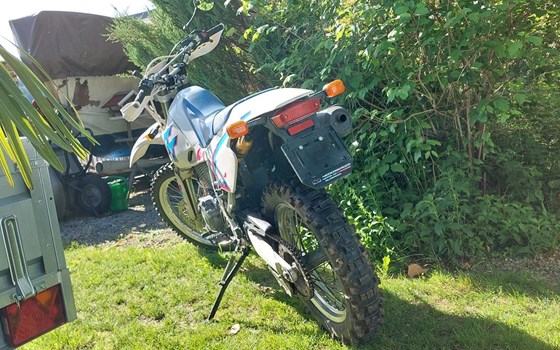 Motorrad Occasion Yamaha TT 600 S - Bild 2