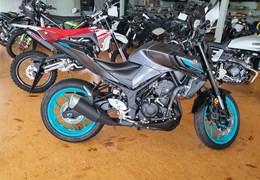 Neumotorrad Yamaha MT-03