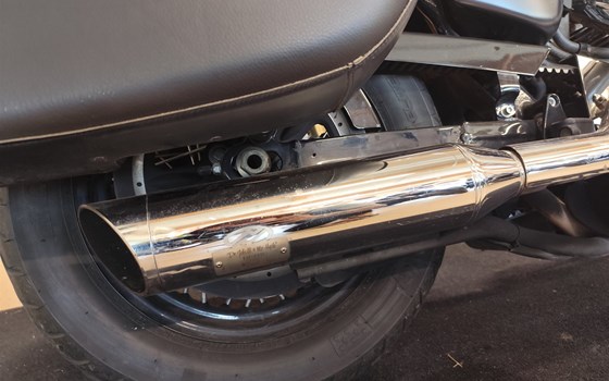 Gebrauchtmotorrad Harley-Davidson Sportster XL 1200C Custom - Bild 4