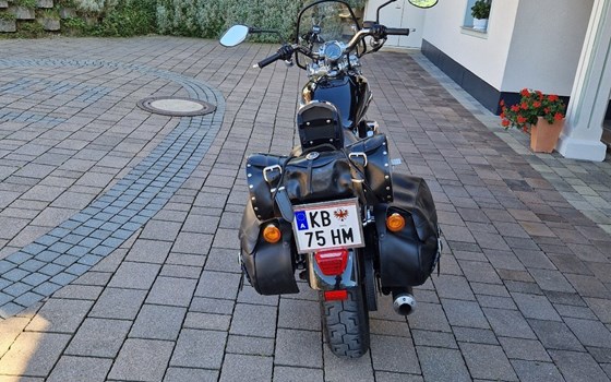 Gebrauchtmotorrad Harley-Davidson Sportster XL 1200C Custom - Bild 4 Gebrauchtmotorrad Harley-Davidson Sportster XL 1200C Custom - Bild 4