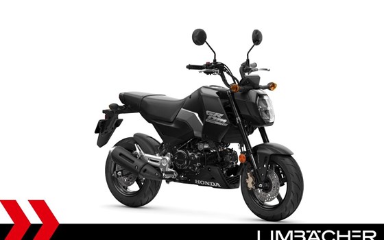 Gebrauchtmotorrad Honda MSX125 Grom - Bild 1